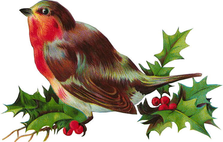 Christmas Bird Free Transparent Image HD Transparent PNG Image