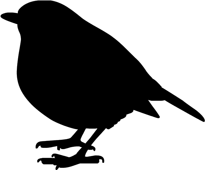 Christmas Bird Download Free Image Transparent PNG Image