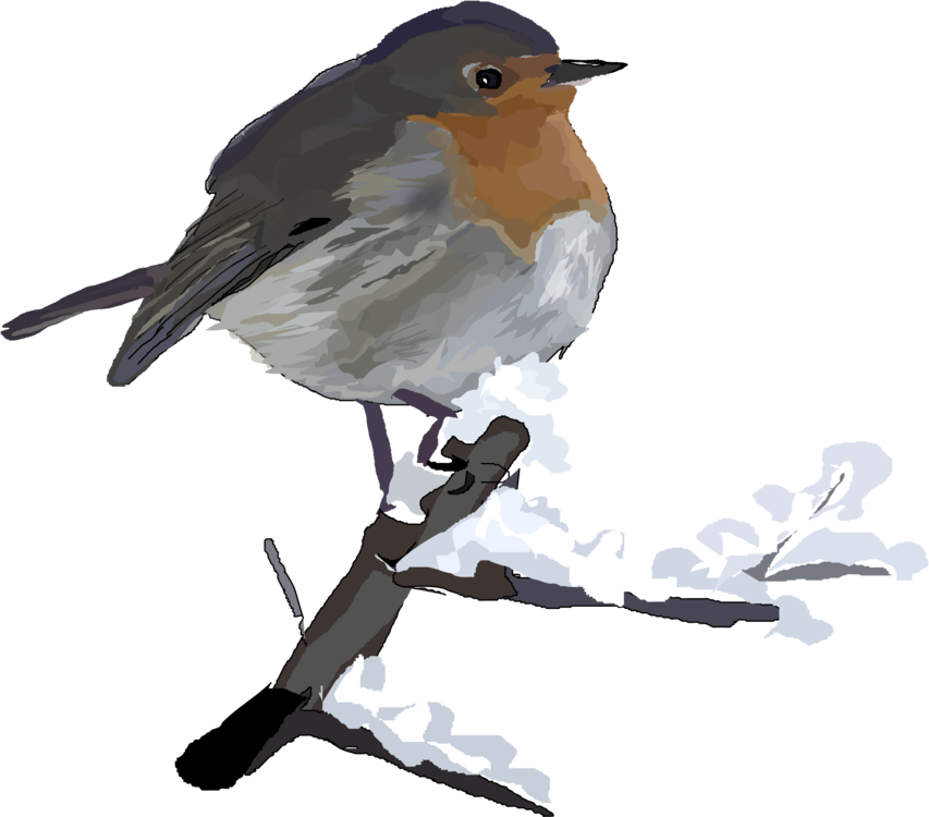 Christmas Bird Free Clipart HQ Transparent PNG Image