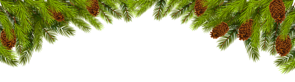 Branches Christmas HQ Image Free Transparent PNG Image