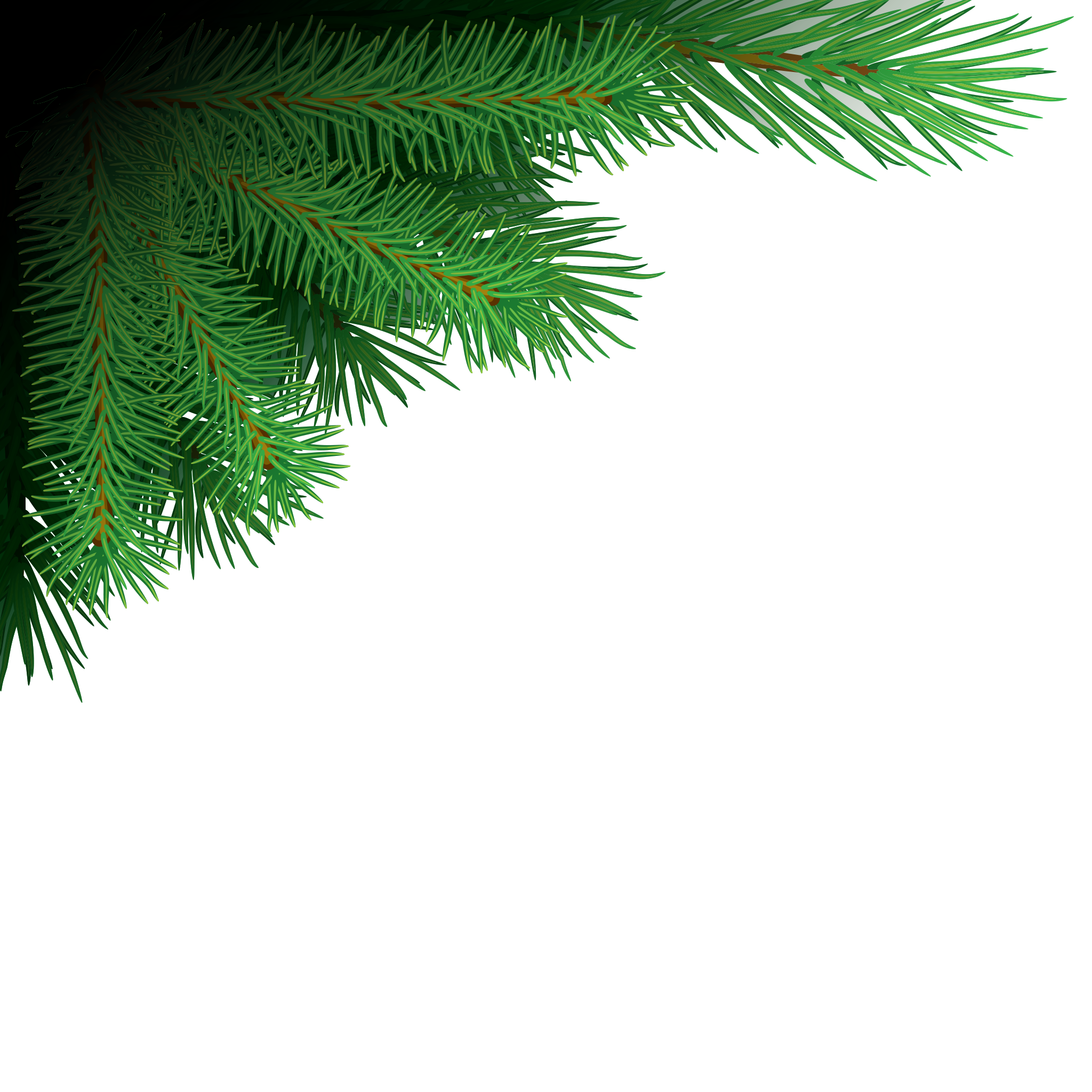 Branches Christmas PNG Free Photo Transparent PNG Image