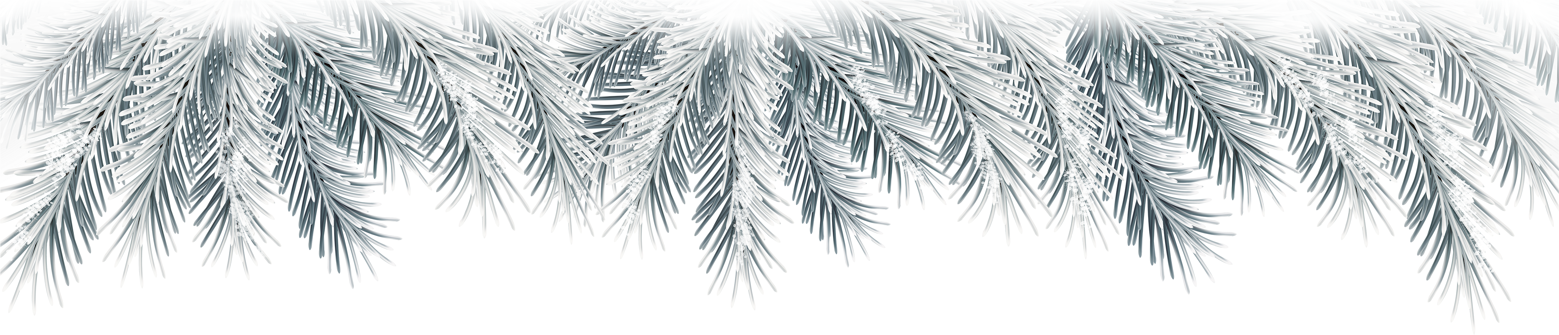 Branches Christmas Free Photo Transparent PNG Image