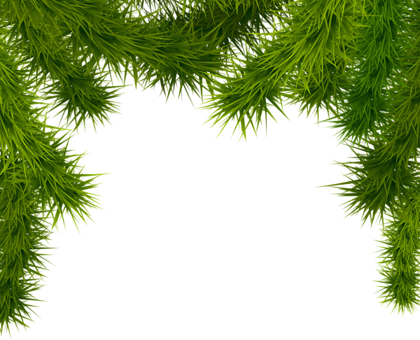 Branches Christmas Free Clipart HQ Transparent PNG Image