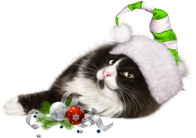 Christmas Kitten HQ Image Free Transparent PNG Image