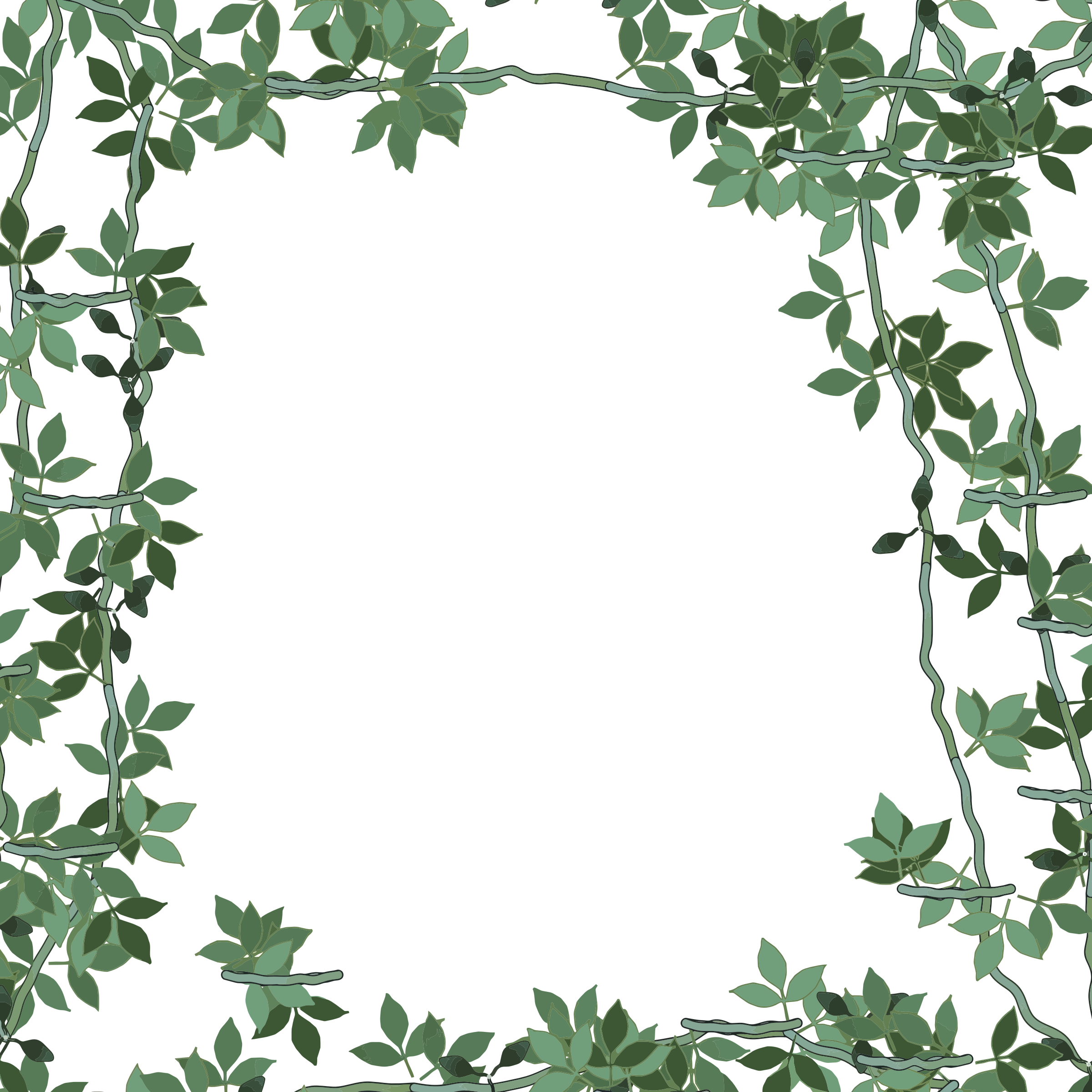 Frame Green Christmas PNG Download Free Transparent PNG Image