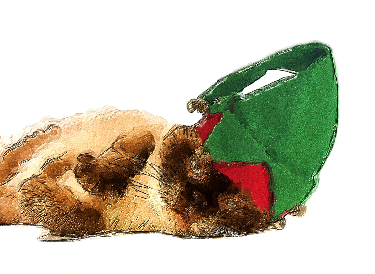 Christmas Kitten PNG Image High Quality Transparent PNG Image