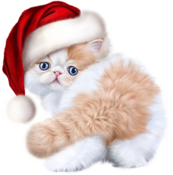 Photos Christmas Kitten Download HD Transparent PNG Image