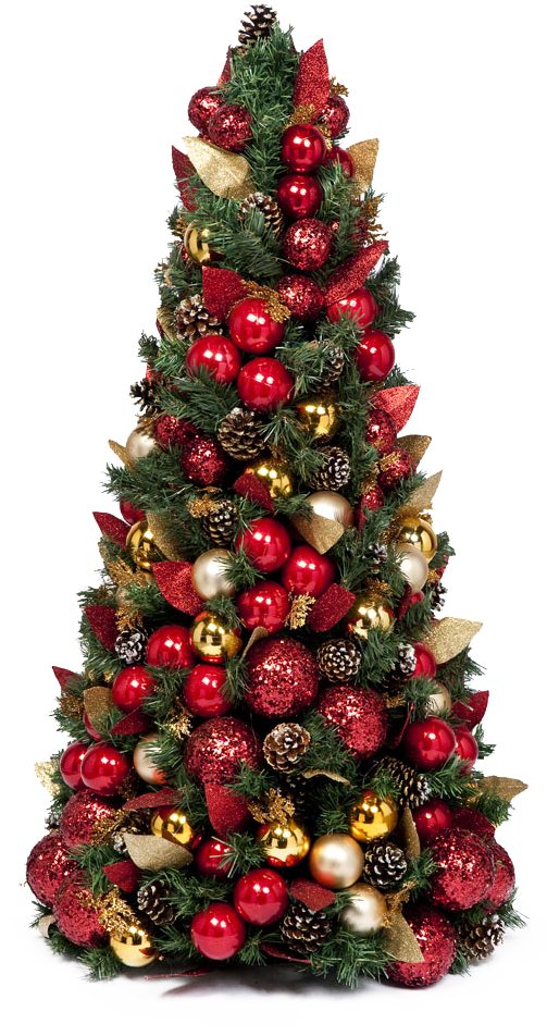 Fir Tree Christmas Free Photo Transparent PNG Image