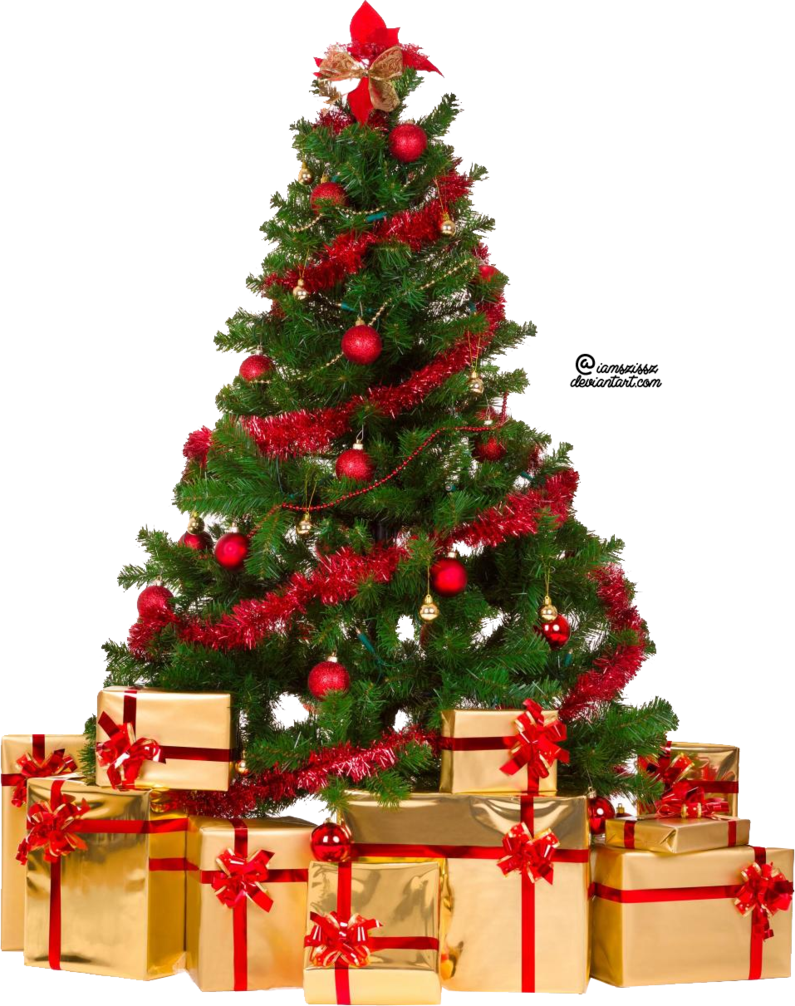 Fir Tree Christmas Free Download Image Transparent PNG Image