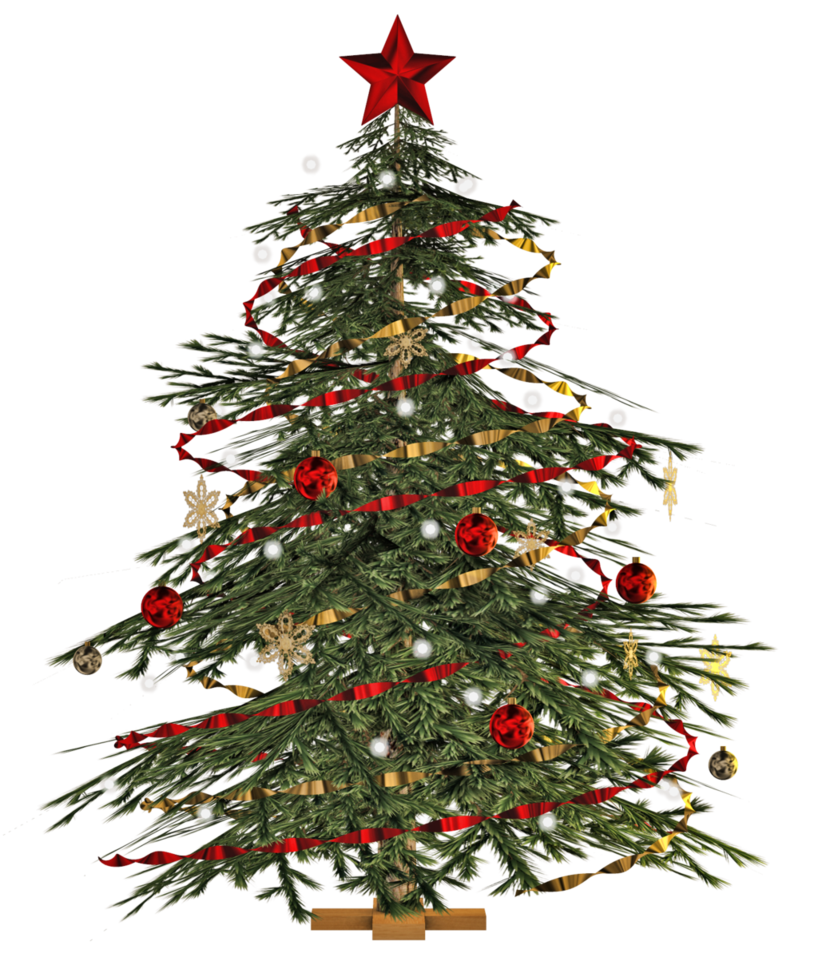 Fir Tree Christmas Download Free Image Transparent PNG Image