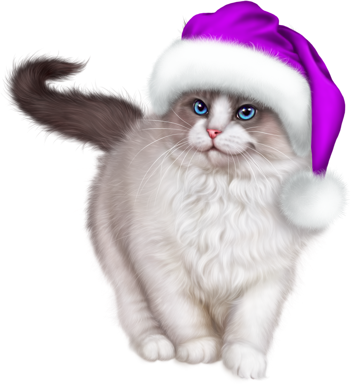 Christmas Cat Free HD Image Transparent PNG Image