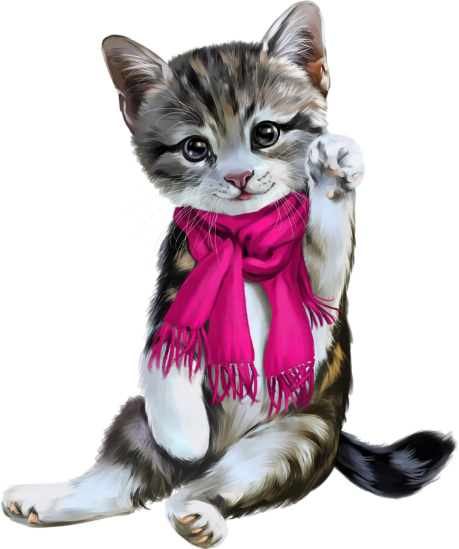 Christmas Cat PNG Image High Quality Transparent PNG Image