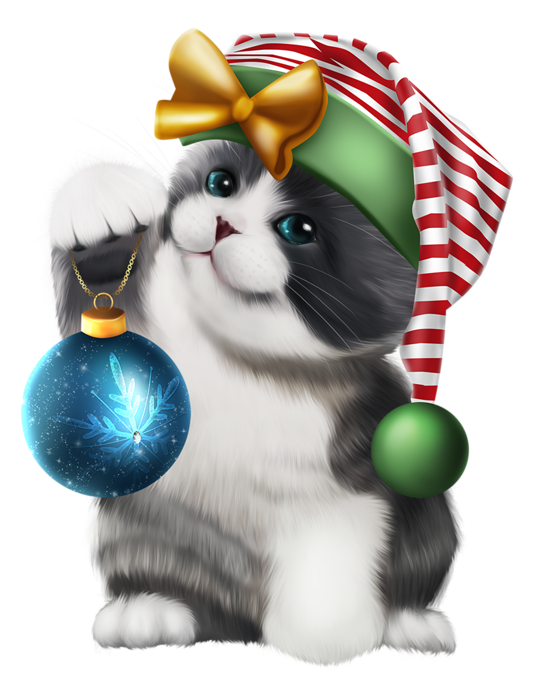 Christmas Cat PNG Free Photo Transparent PNG Image