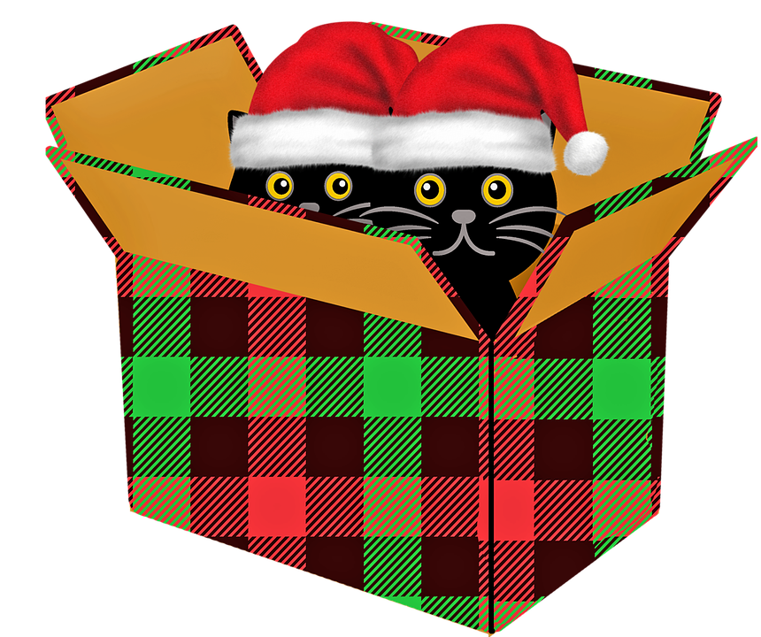 Images Christmas Cat Free PNG HQ Transparent PNG Image