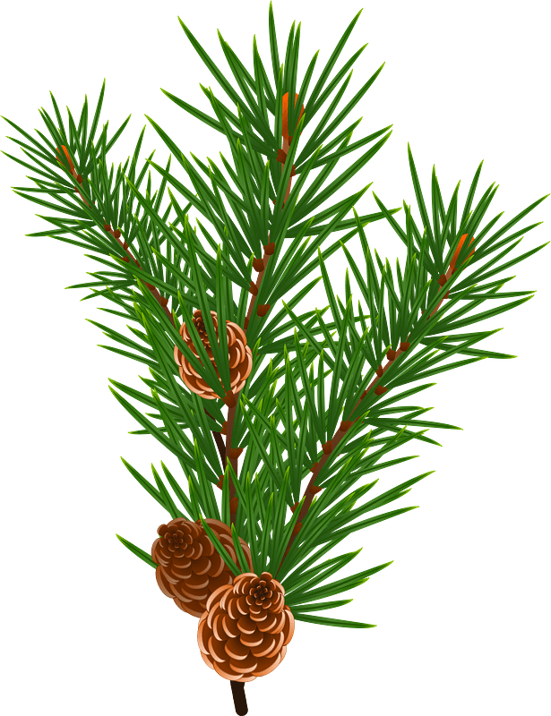 Christmas Pine Cone Free Transparent Image HQ Transparent PNG Image