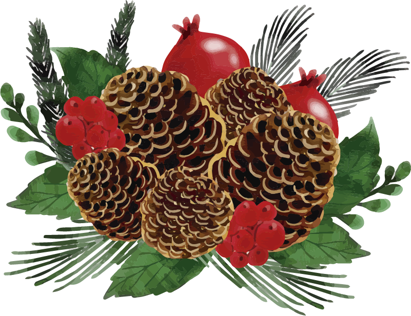 Christmas Pine Cone Download HD Transparent PNG Image