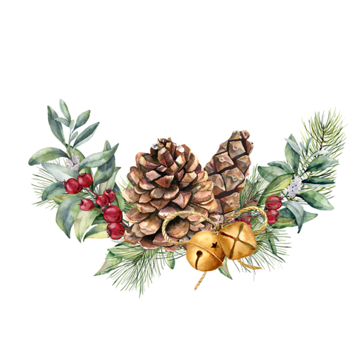 Christmas Pine Cone PNG Free Photo Transparent PNG Image