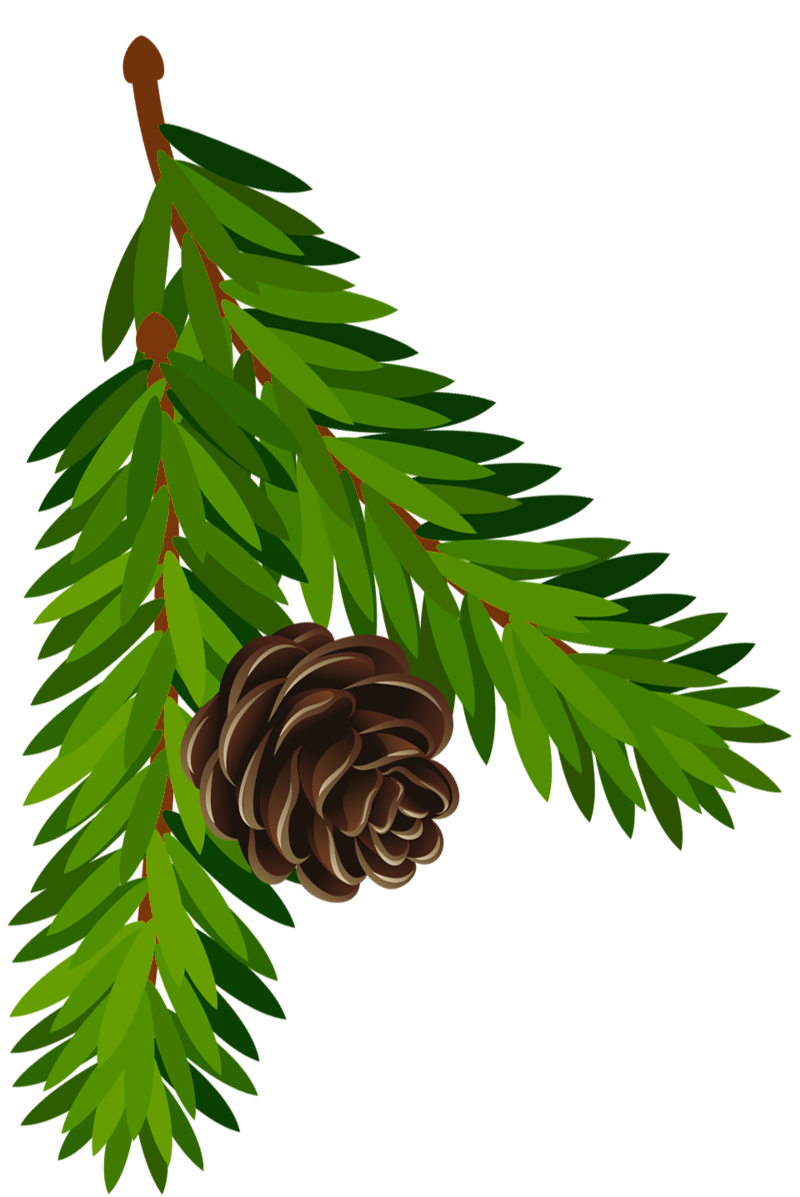 Picture Christmas Pine Cone Download HQ Transparent PNG Image