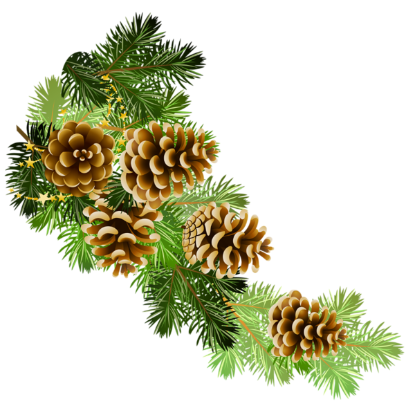 Images Christmas Pine Cone Free Clipart HQ Transparent PNG Image