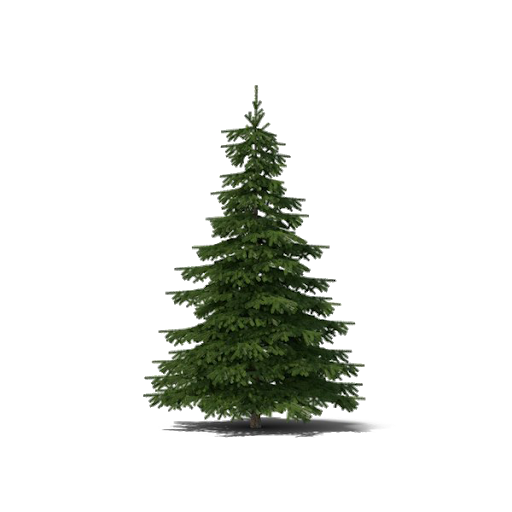 Small Fir-Tree Christmas Free Clipart HD Transparent PNG Image