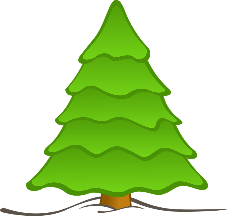 Christmas Nature Picture Transparent PNG Image