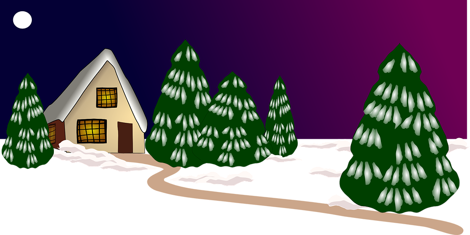 Christmas Nature Photo Transparent PNG Image