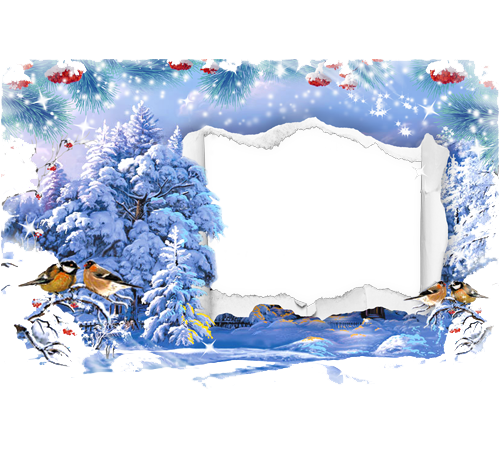 Christmas Nature Photos Transparent PNG Image