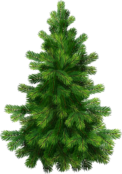 Christmas Nature Image Transparent PNG Image