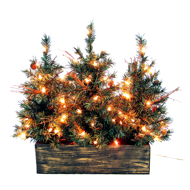 Christmas Outside Picture Transparent PNG Image