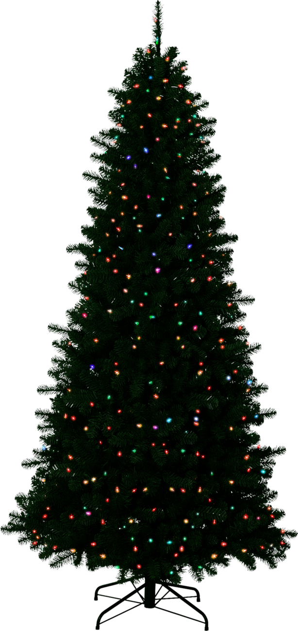 Christmas Outside Transparent Background Transparent PNG Image