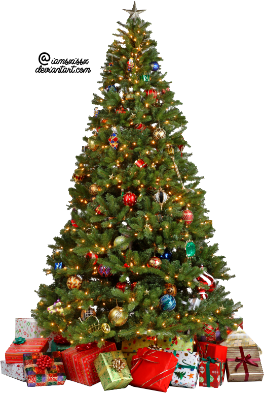 Christmas Tree Photo Transparent PNG Image