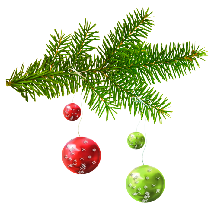 Fir Ornament Tree Day Year Christmas Transparent PNG Image