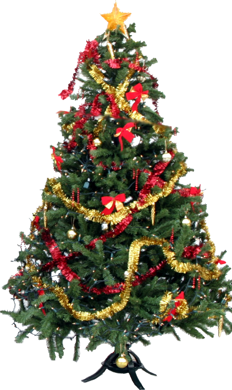 Christmas Tree Picture Transparent PNG Image