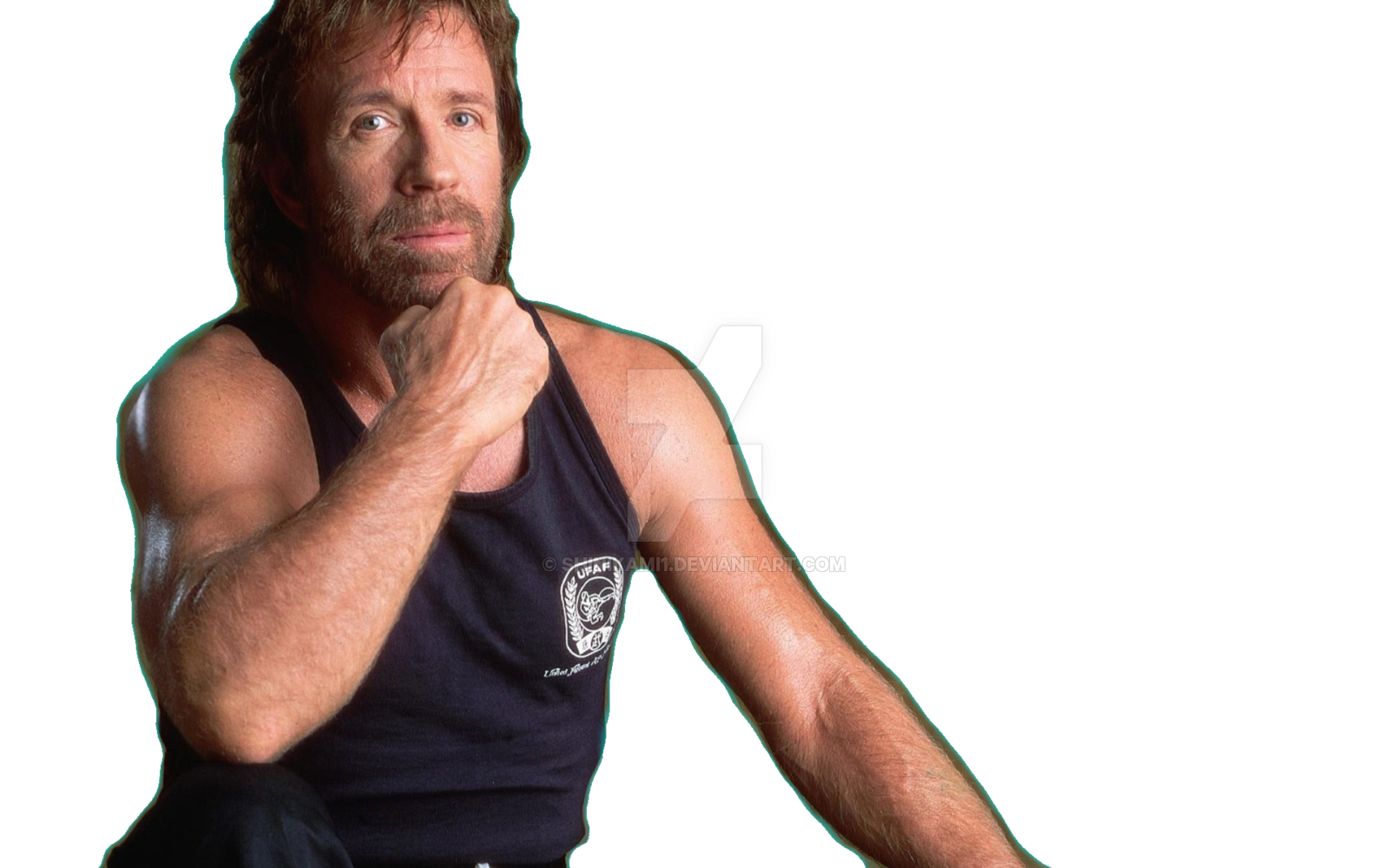 Chuck Norris Transparent Transparent PNG Image