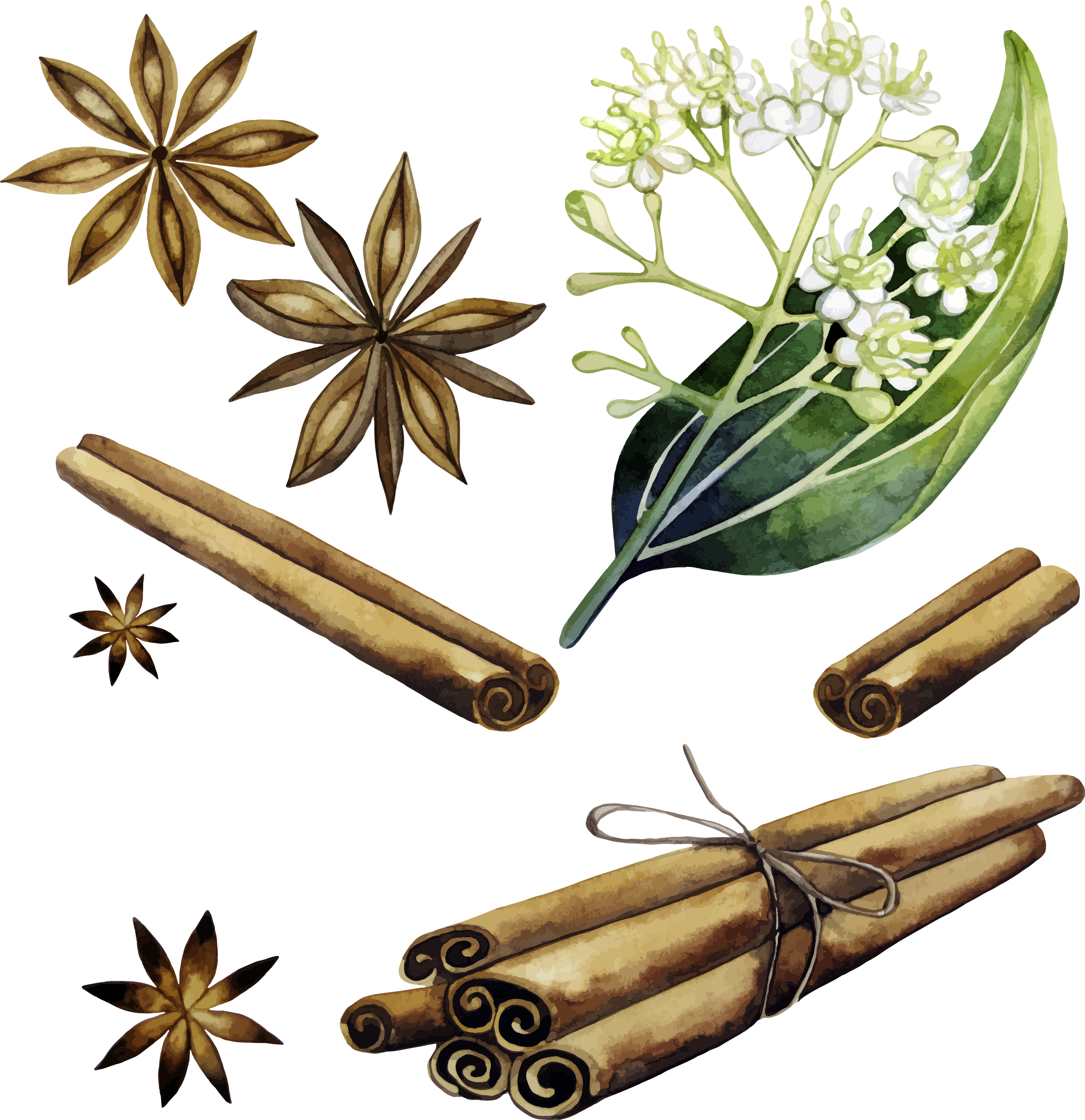 Photos Cinnamon PNG Free Photo Transparent PNG Image