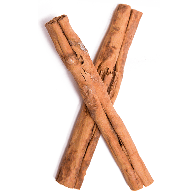 Cinnamon Stick Free Clipart HQ Transparent PNG Image