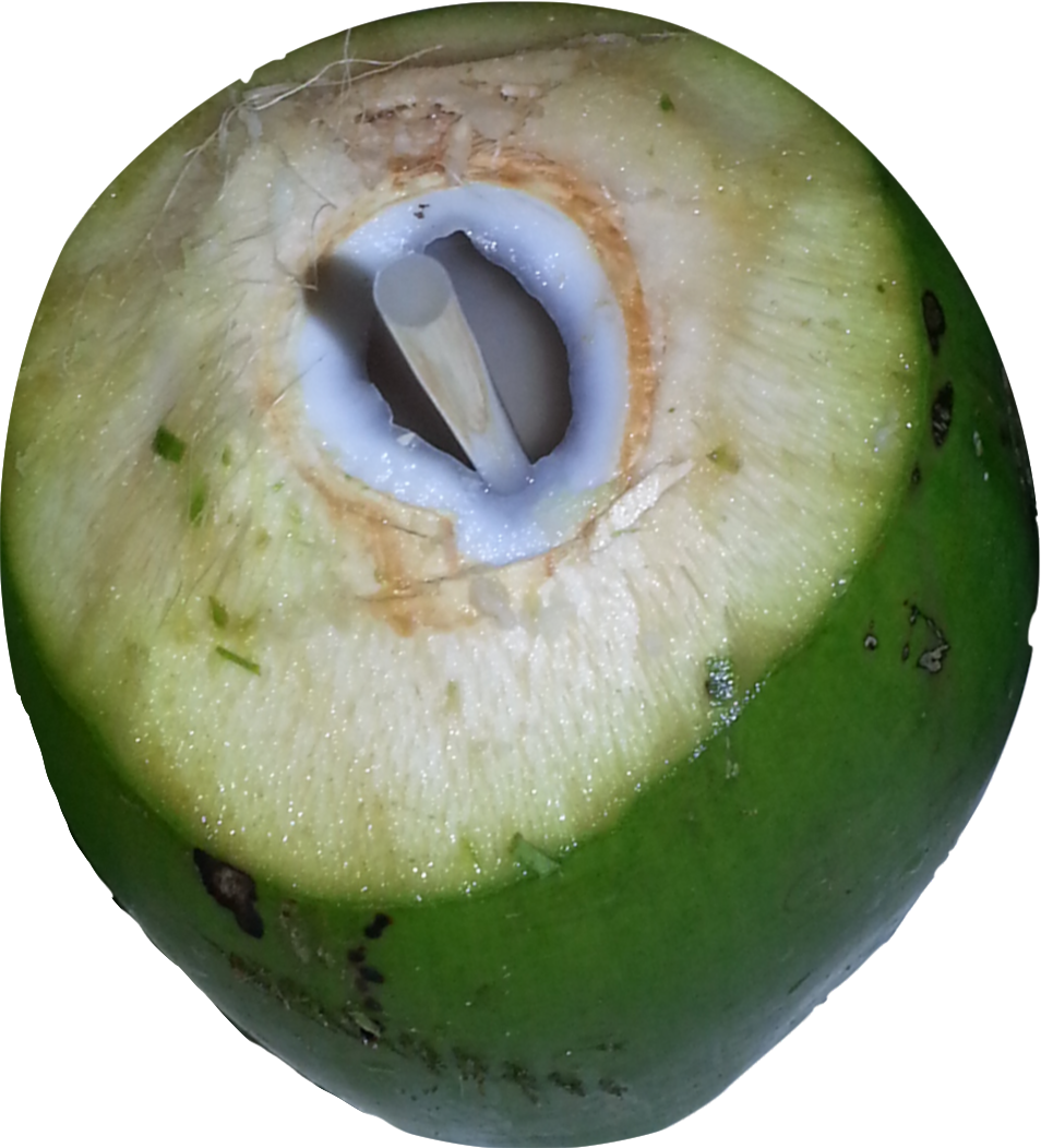 Fresh Coconut Green Download HD Transparent PNG Image