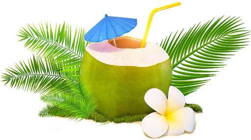 Fresh Coconut Green PNG Download Free Transparent PNG Image