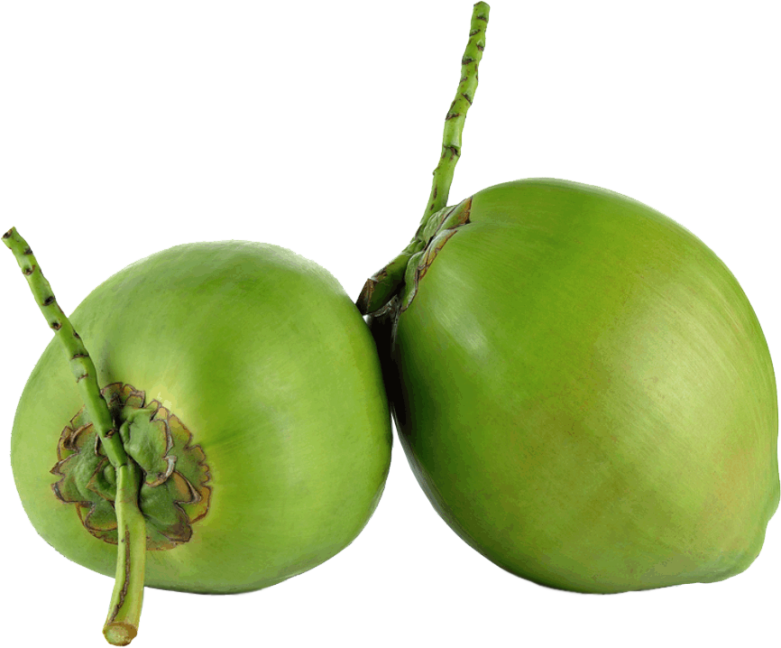 Fresh Coconut Green Photos PNG Download Free Transparent PNG Image