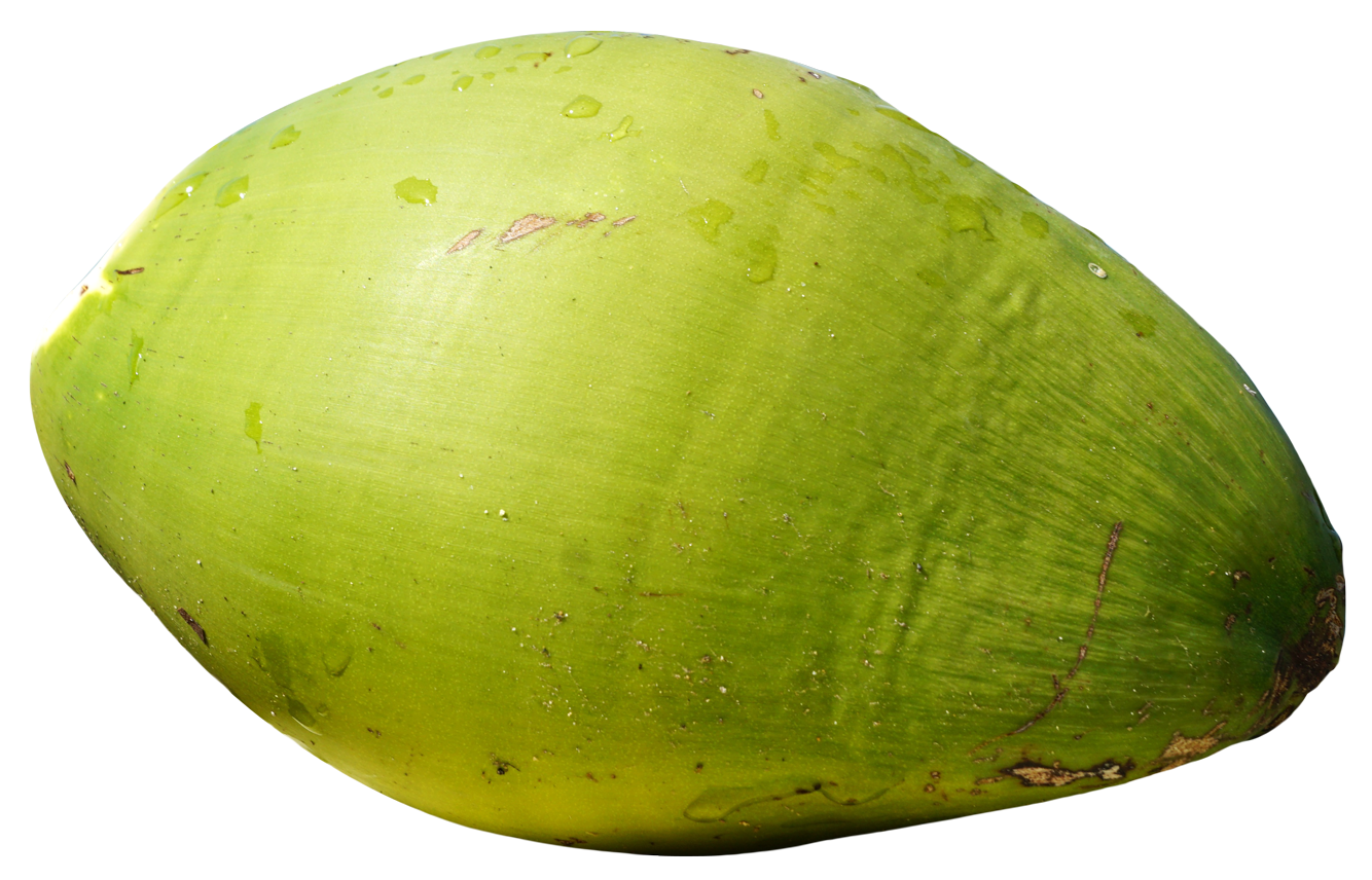 Fresh Coconut Green Free Download Image Transparent PNG Image