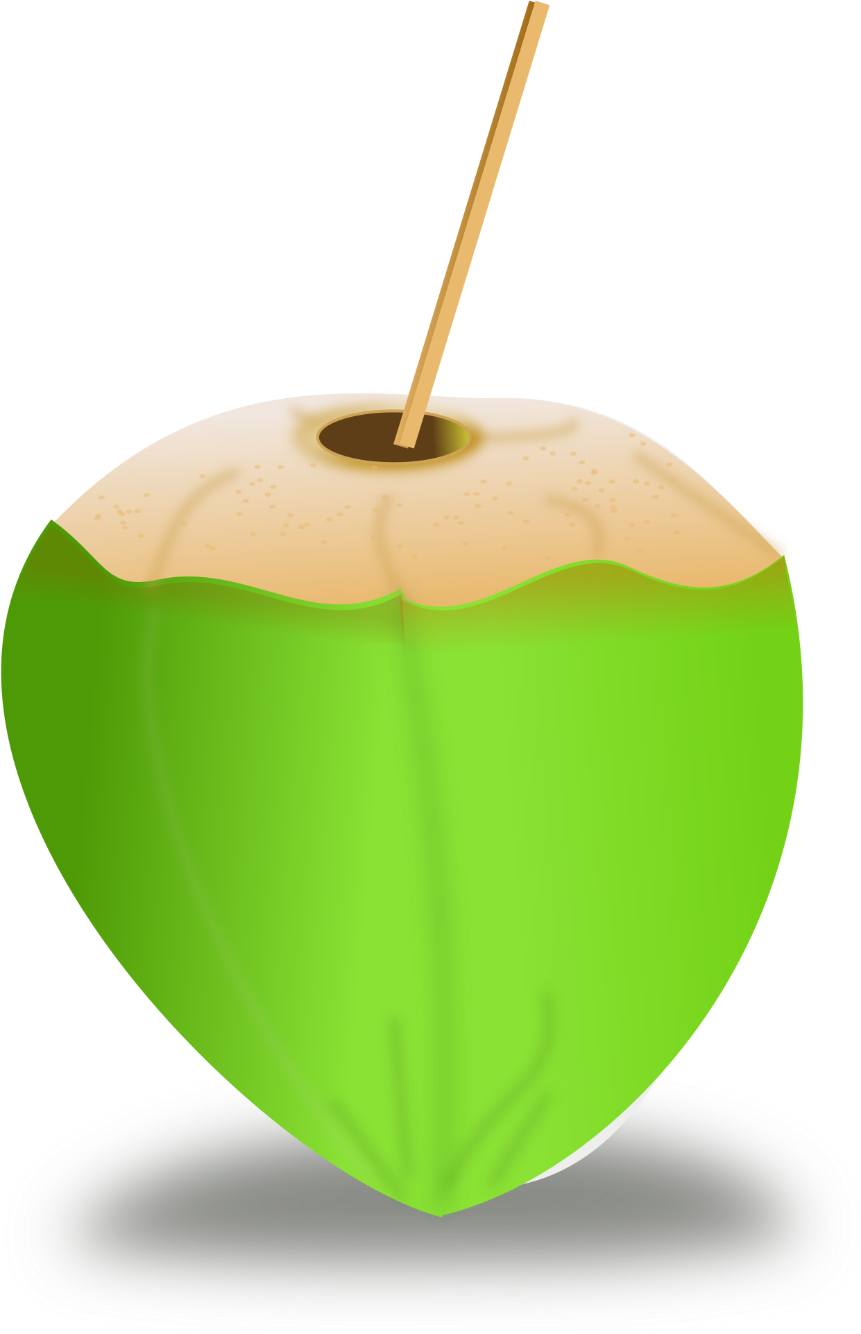 Coconut Green Download HD Transparent PNG Image