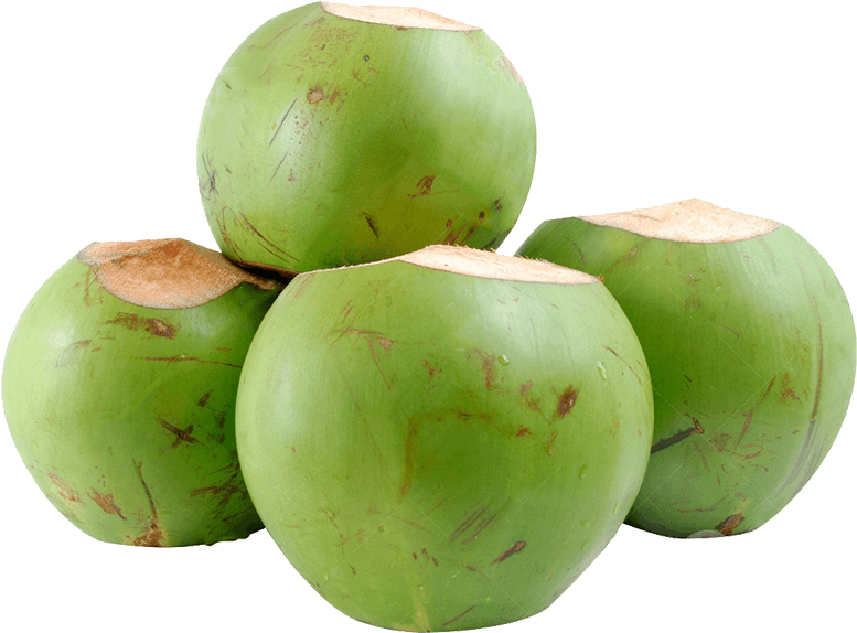 Green Coconut Organic Free PNG HQ Transparent PNG Image