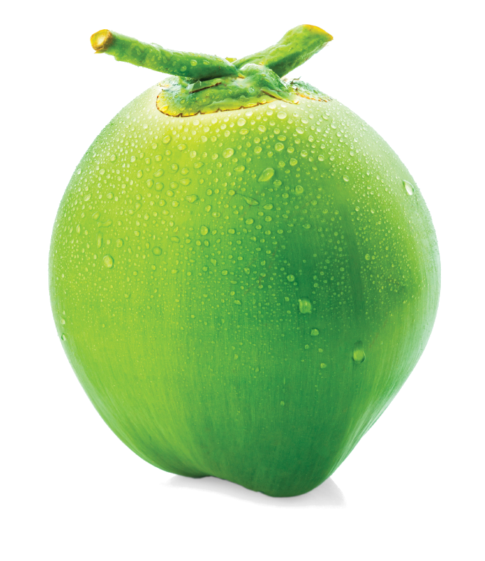 Green Coconut Organic HD Image Free Transparent PNG Image