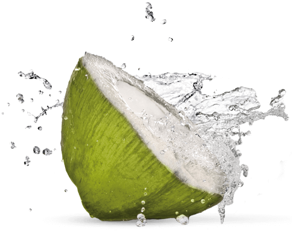 Green Coconut Organic Free Photo Transparent PNG Image