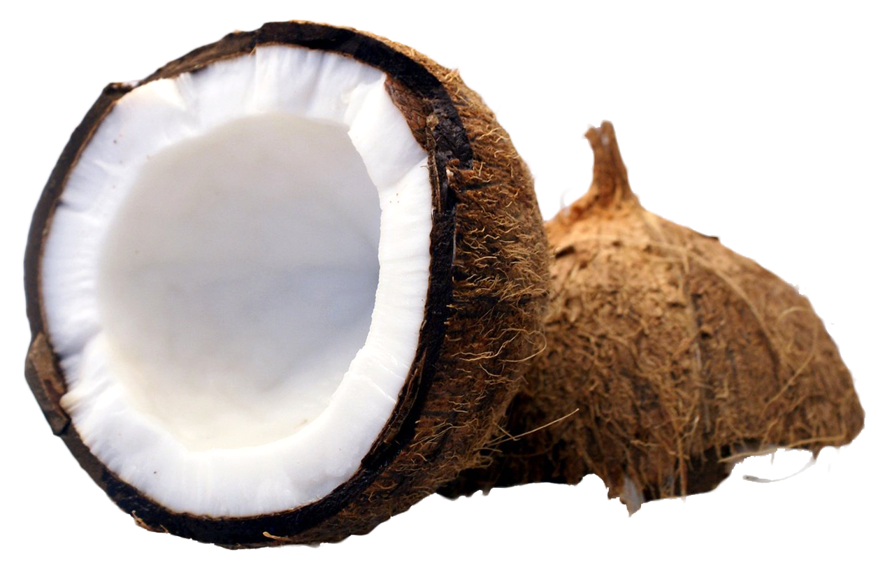 Coconut Transparent PNG Image