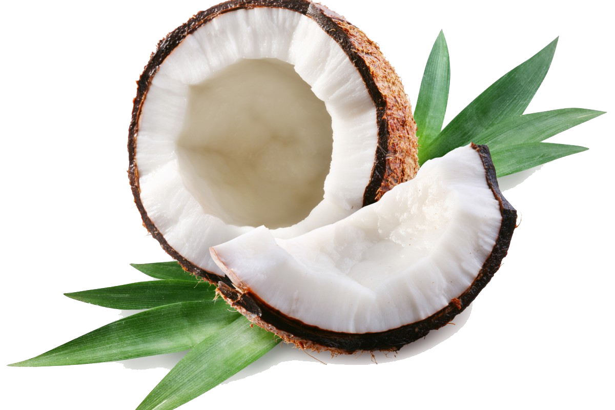 Coconut Free Download Png Transparent PNG Image