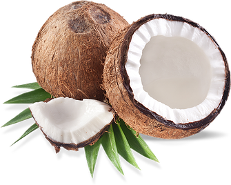 Coconut Picture Transparent PNG Image