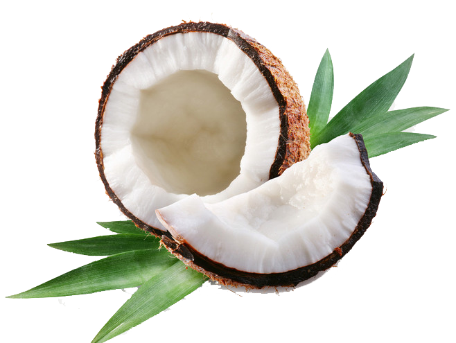 And Cuisine Coconut Oil Greenery Jesus Thai Transparent PNG Image