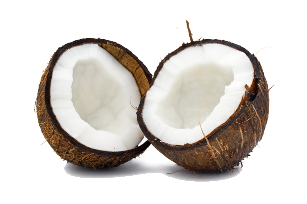 Coconut Free Png Image Transparent PNG Image