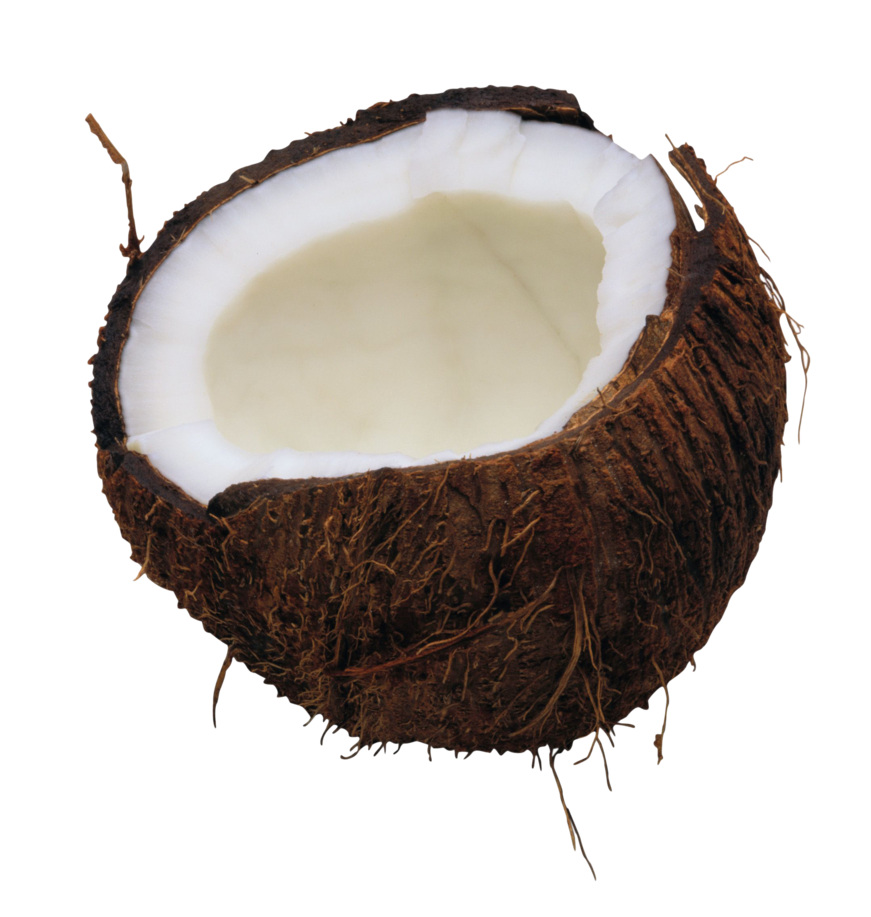 Coconut Png Image Transparent PNG Image